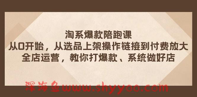 淘系爆款陪跑课 从选品上架操作链接到付费放大 全店运营 打爆款 系统做好店_深海鱼课堂-深海鱼