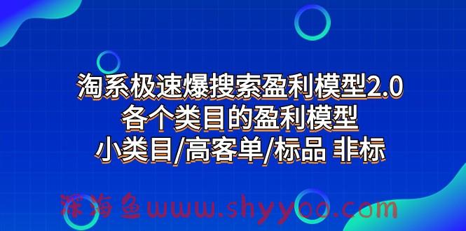 淘系极速爆搜索盈利模型2.0，各个类目的盈利模型，小类目/高客单/标品 非标_深海鱼课堂-深海鱼