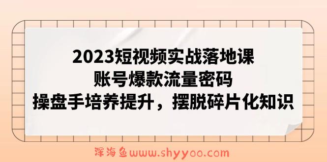 2023短视频实战落地课，账号爆款流量密码，操盘手培养提升，摆脱碎片化知识_深海鱼课堂-深海鱼