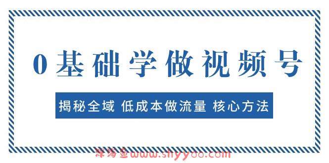 0基础学做视频号：揭秘全域 低成本做流量 核心方法 快速出爆款 轻松变现_深海鱼课堂-深海鱼
