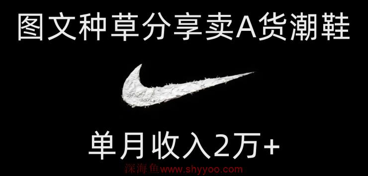 靠图文种草分享卖A货潮鞋，每天一小时，单月收入2万+【揭秘】_深海鱼课堂-深海鱼