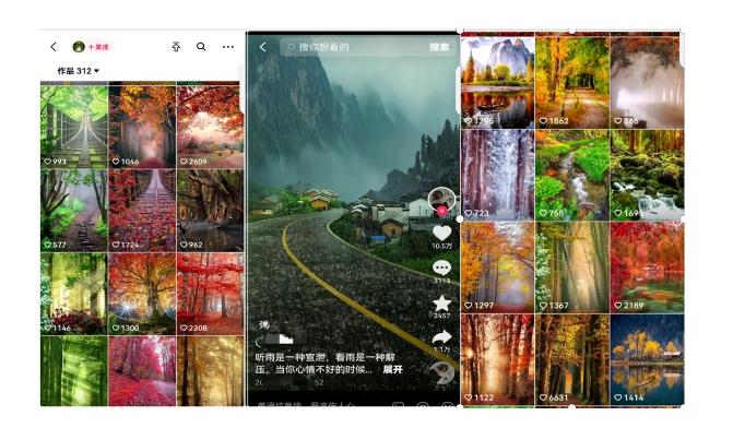 图片[2]_黄岛主副业拆解：抖音风景号视频变现副业项目，一条龙玩法分享给你_深海鱼_深海鱼