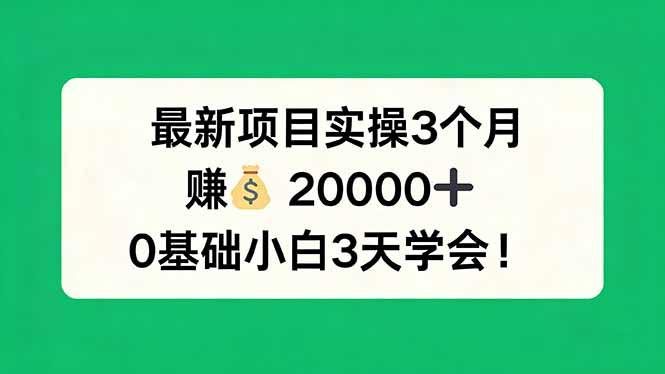 （17856期）最新项目实操3个月，赚钱20000+，0基础小白3天学会！-深海鱼