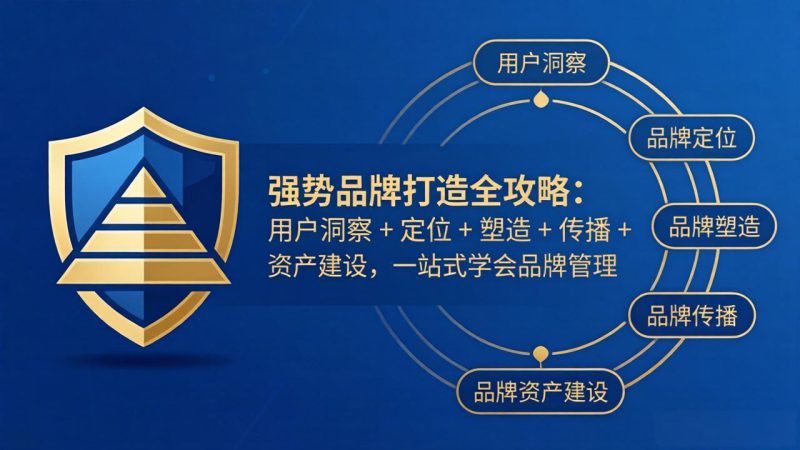 （17889期）强势品牌打造全攻略：用户洞察 + 定位 + 塑造 + 传播 + 资产建设，一站式学会品牌管理-深海鱼