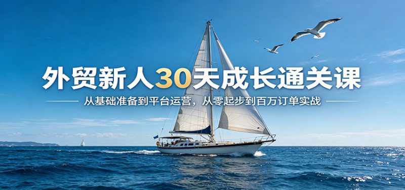 外贸新人30天成长通关课：从基础准备到平台运营，从零起步到百万订单实战-深海鱼