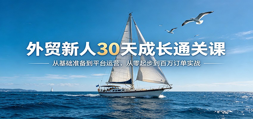 外贸新人30天成长通关课：从基础准备到平台运营，从零起步到百万订单实战外贸新人30天成长通关课：从基础准备到平台运营，从零起步到百万订单实战-深海鱼